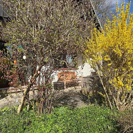 Ruhepol Im Gruenen Mit Wohnwintergarten Fleckeby