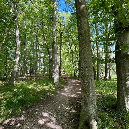 Ruhepol Im Gruenen Mit Wohnwintergarten Lägenhet Fleckeby